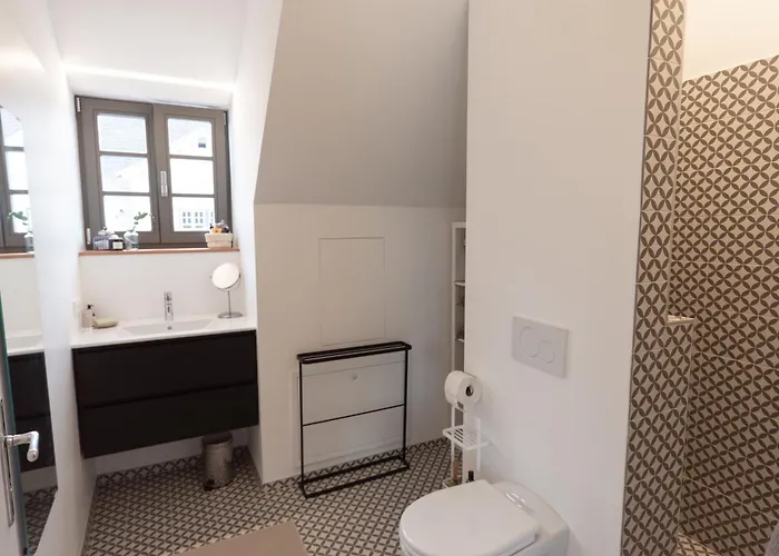 Design-apartment Im Historischen Floesserhaus Steyr